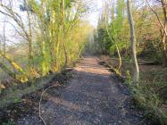 Glamorganshire Canal, Cilfynydd, 07