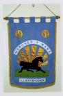 Merched y Wawr Llanybyther Branch Banner