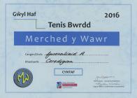 Y Gwenoliaid Gwawr Club victorious in the...