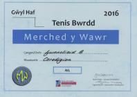Y Gwenoliaid Gwawr Club victorious in the...