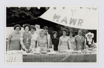 Merched y Wawr Clydach Branch at a Summer Fair 