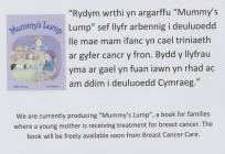 Promotional Leaflet for 'Lwmp Mam' /...