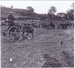 2nd Talley Agricultural Show, Talley.