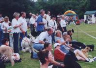 People watching the dog show at the Cwmdu Fete.