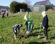 Tree Planting in Talley Community field in  2011.