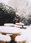 Snowfall in Cwmdu on 18 December 2010.