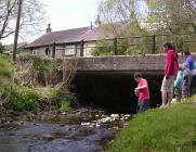 Cwmdu Boat race, 2010.