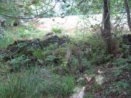 Remains of the Edwinsford boathouse