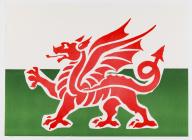 Nos Galan flag - Welsh Dragon, handed to crowds...