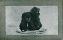 Postcard from George E. Thomas to his mother,...
