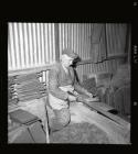 Quarryman dressing a roofing slate