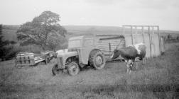 Moving bail, Pantyrhuad, 1955