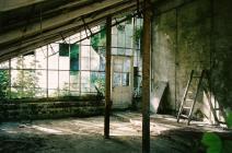 Hafod greenhouse, 2000