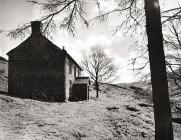 LLAWR-Y-CWM-BACH farmhouse & mine workings,...