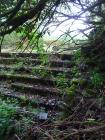 Pond Walls, Derry Ormond Bridge, Betws Bledrws,...