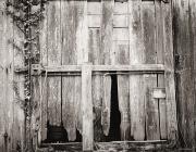 RAILWAY CARRIAGE, Ty Coed, Tregaron, Ceredigion...