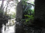 Leri Mills, Talybont, Ceredigion 2014