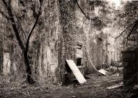 ABERGLASNEY, White Door, Llangathen,...