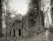 GELLI FECHAN, Upper Lliedi Reservoir, Llanelli...