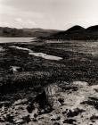 TEIFI POOLS, Ceredigion 1996