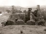 BRON Y BERLLAN,Ceredigion 2010