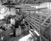 Ceulan Mill, Talybont 2010