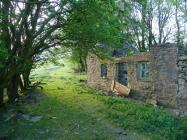 Dyffryn Cottage, Ffair Rhos, Ceredigion 2011