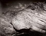 TREE TRUNK, Hafod Fields, Ceredigion 1996