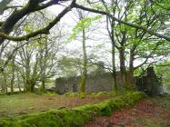 Rhos Marchnant (Longhouse), Ysbyty Ystwyth 2010