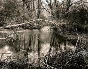 RIVER RHEIDOL: Ox-Bow Lakes on the River...