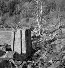 Hafod mansion ruins 1992