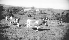 Pantyrhuad homestead from beyond the Dingle