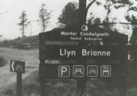 Llyn Brianne Picnic Site 