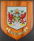 County of South Glamorgan Shield