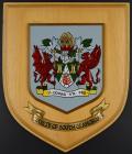 County of South Glamorgan Shield