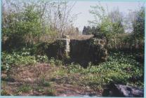 Stone stile in Llwynhelyg wood, Cowbridge 2012 