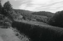 View of Rhiwgreiddyn quarry