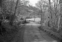 Country lane below the Rhiwgreiddyn slate mill