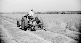 20 Ferguson mower, St. Clears,1952