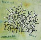 Blackthorn 2, Brenda Rees