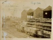 Timber load for S.S. Iperia Barry Docks Aug 1916