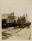 Timber in rail wagons at Barry Docks.