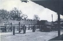 Cowbridge cattle market & town walls 1954 