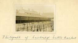 Cowbridge cattle market pens 1926 