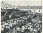 Cowbridge sheep market 1963 