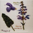 Meadow Clary by Maggie Cornelius