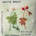 White Bryony by Maggie Cornelius