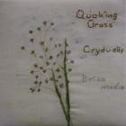 Quaking-grass by Patti Penny