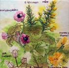 Western Gorse/Tree Mallow/Sea Campion by Rhian...