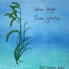 Wood-sedge by Robi Thomas